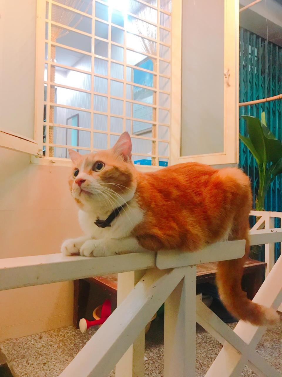 Homestay Qcub2 Homestay Ho Chi Minh City